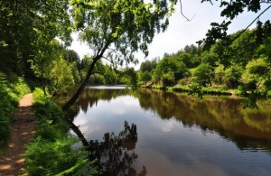 miroir aux fées