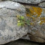dsc00576